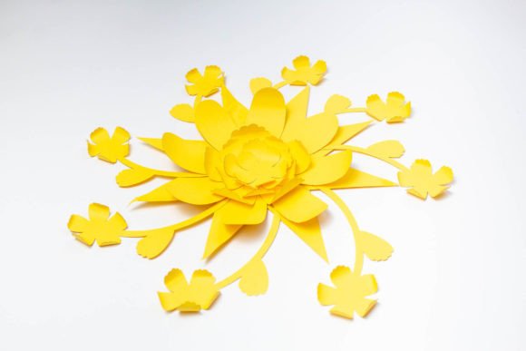 Succulent 3D SVG & Paper Flowers Review
